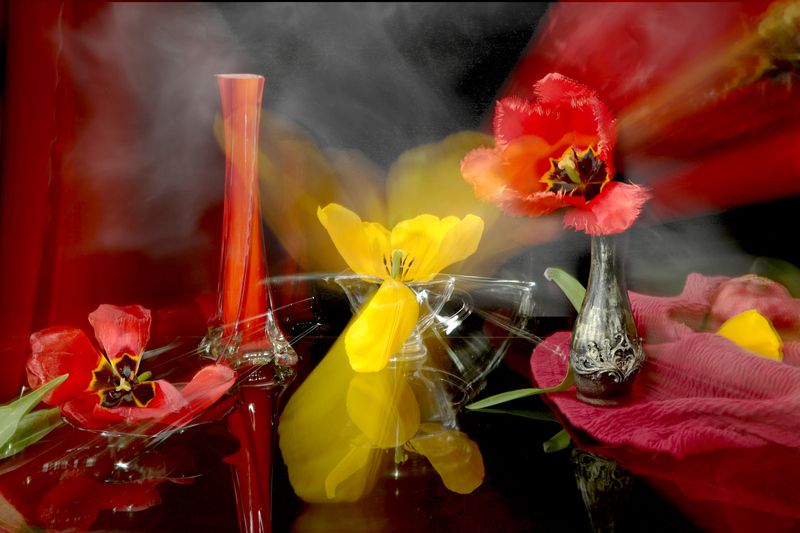 цветы, тюльпаны, яркие, абстракция Тюльпановая абстракция фото превью