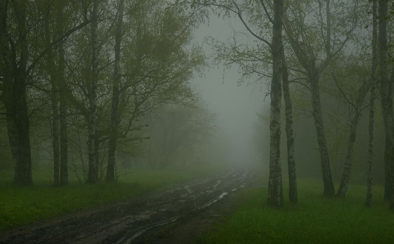 Туманное утро фото превью