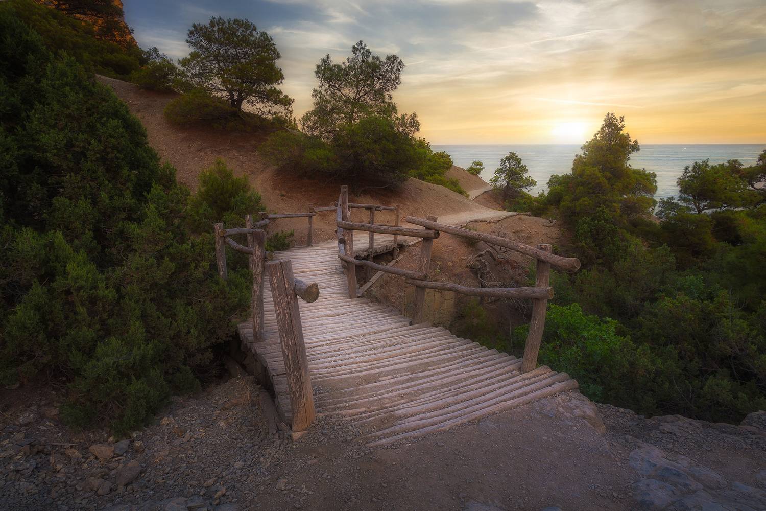 , Аседач Александр