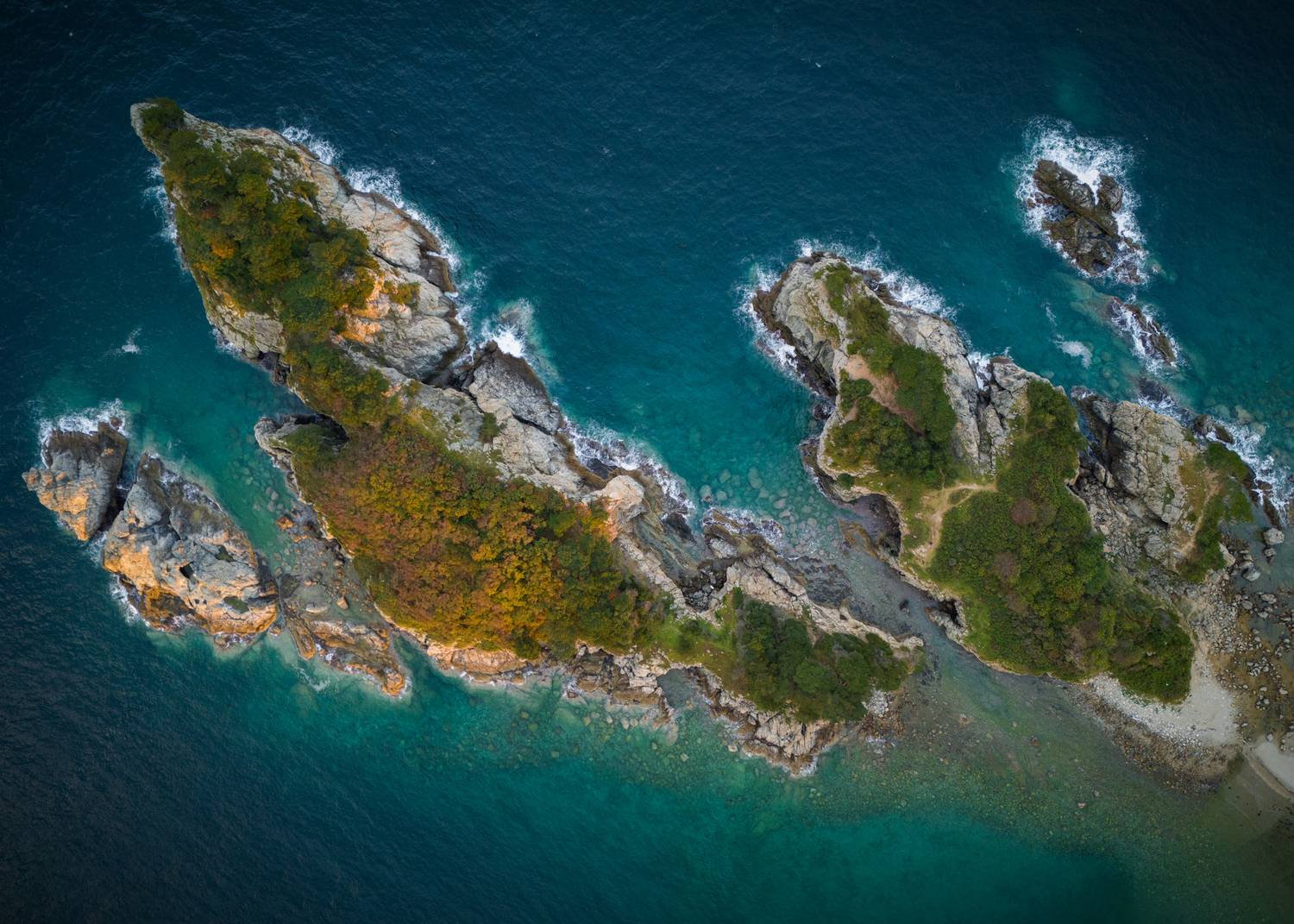 , Перевозчиков Андрей