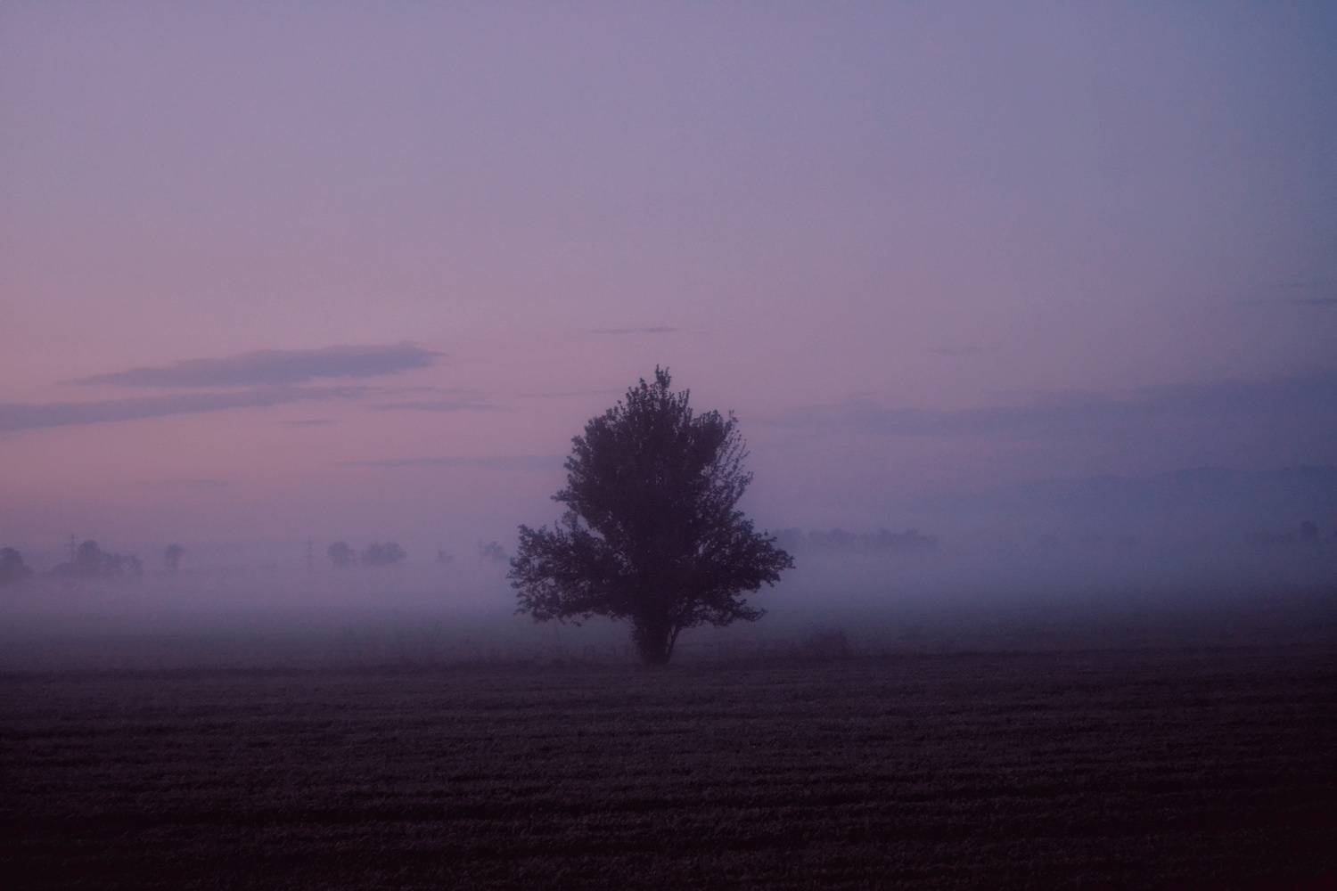 , Юлияна Стоянова