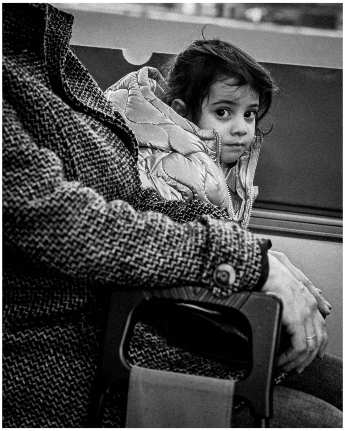 , Щеглова Марина