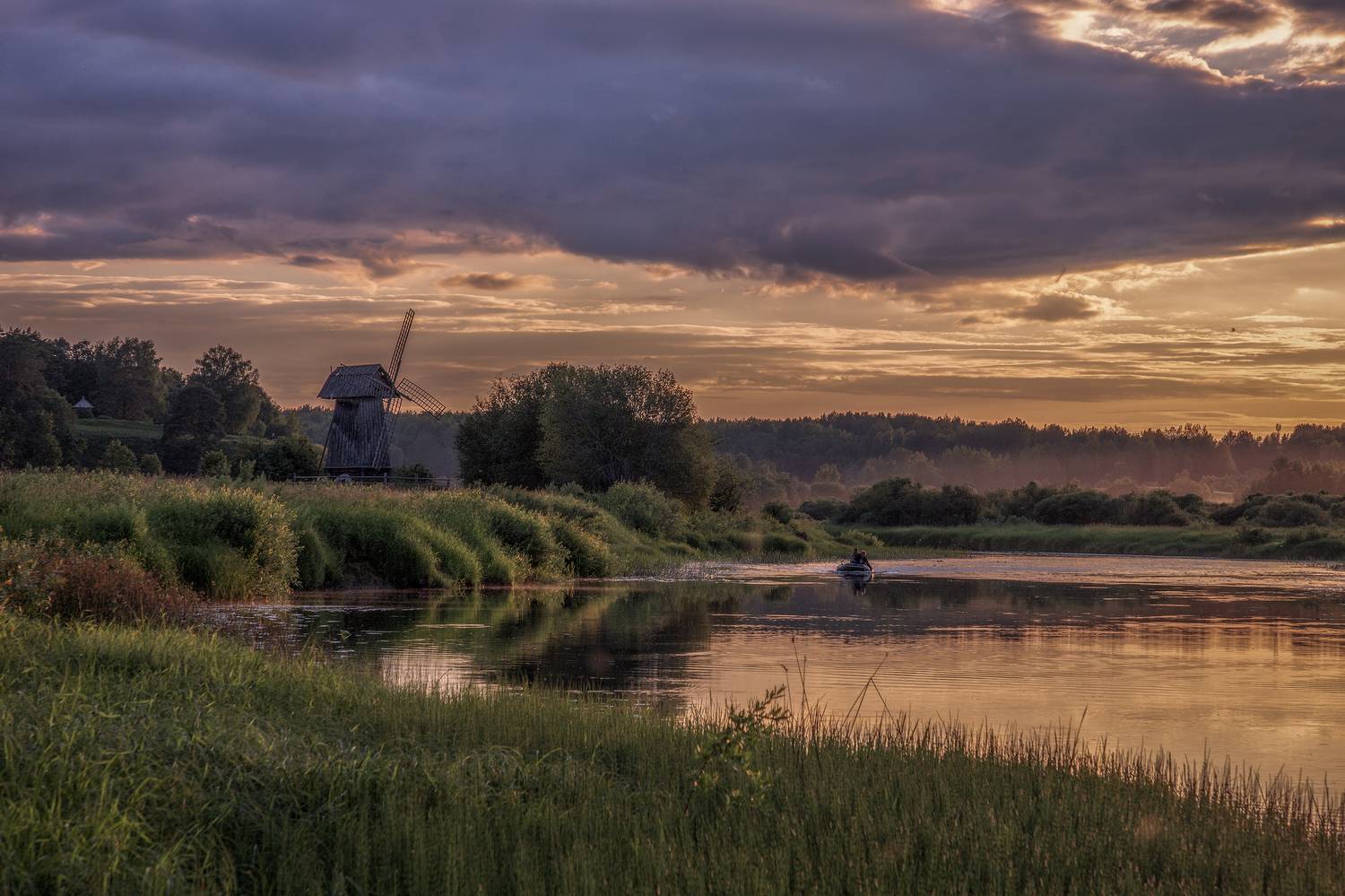 псковская, область, Гусева Елена