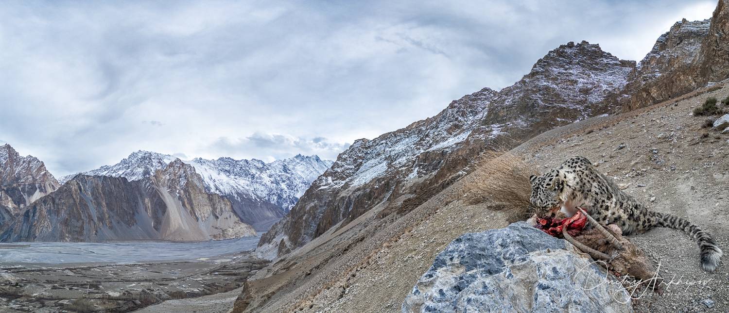 , Дмитрий Архипов