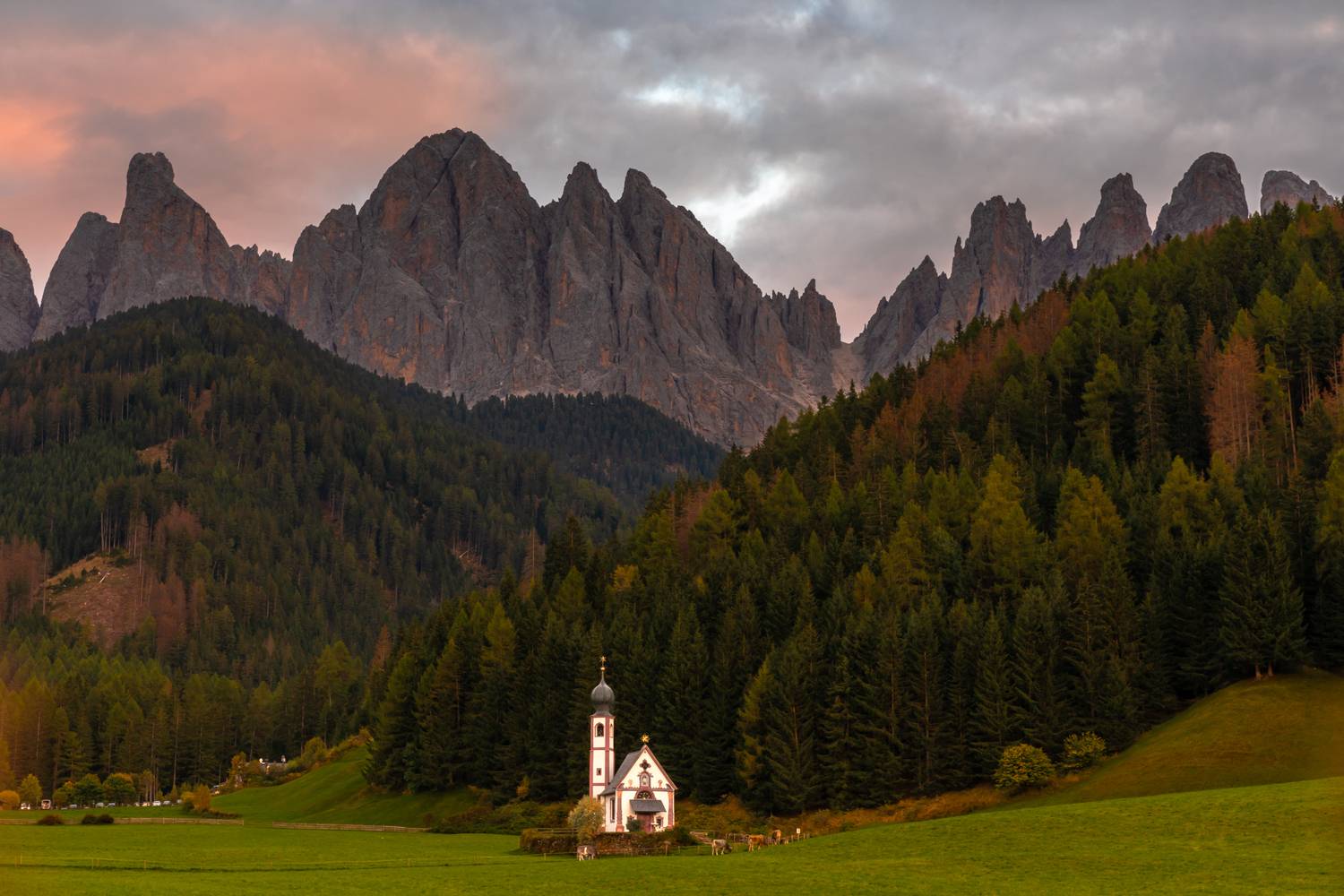 , Евгения Чех