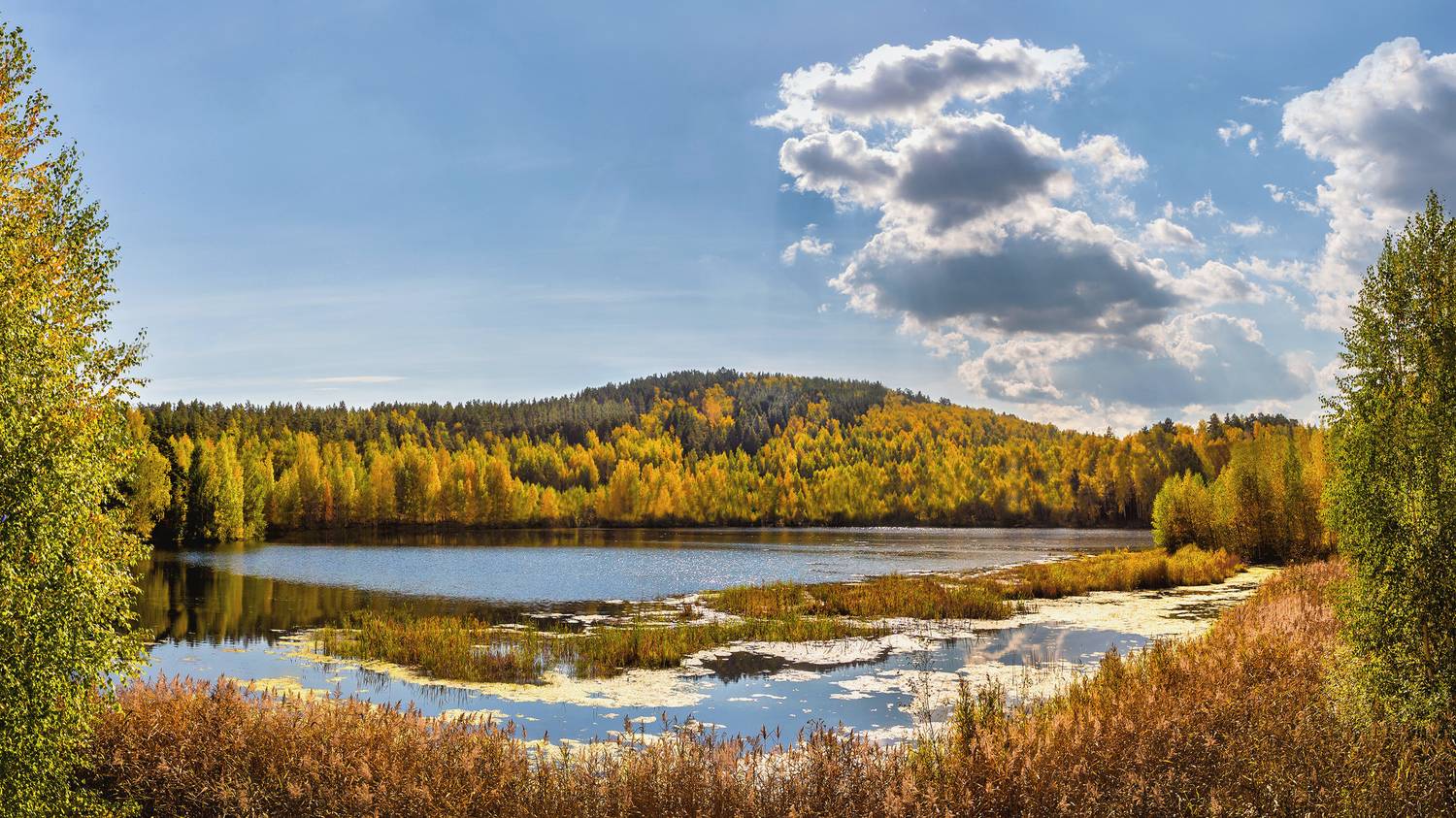 , Ушаков Валерий