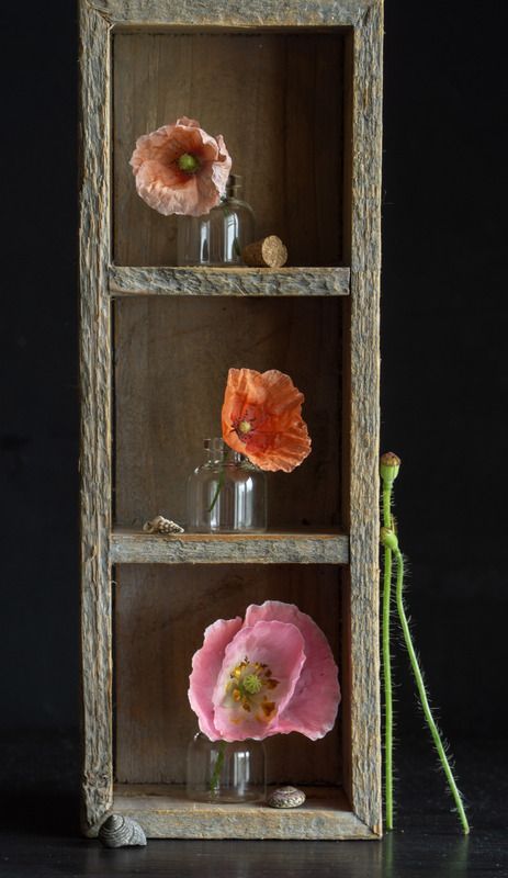 Такие вот Маки фото превью