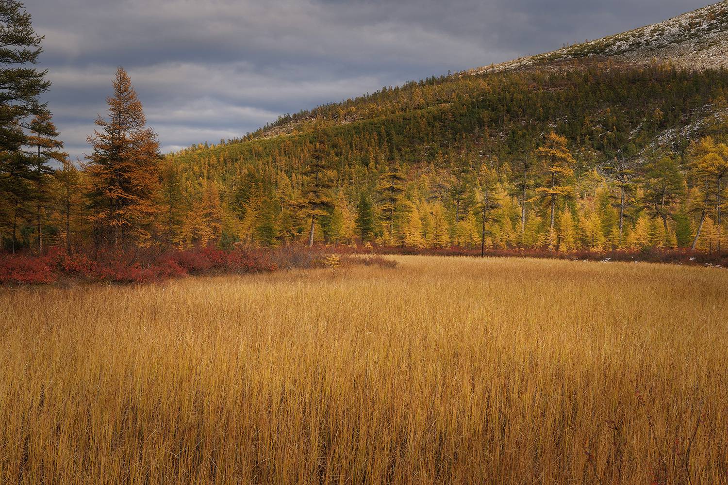 , Морозов Сергей