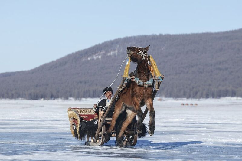 mongolian noamdic winter ice festival khuvsgul lake horse man portrait Mongolian winter ice festival фото превью