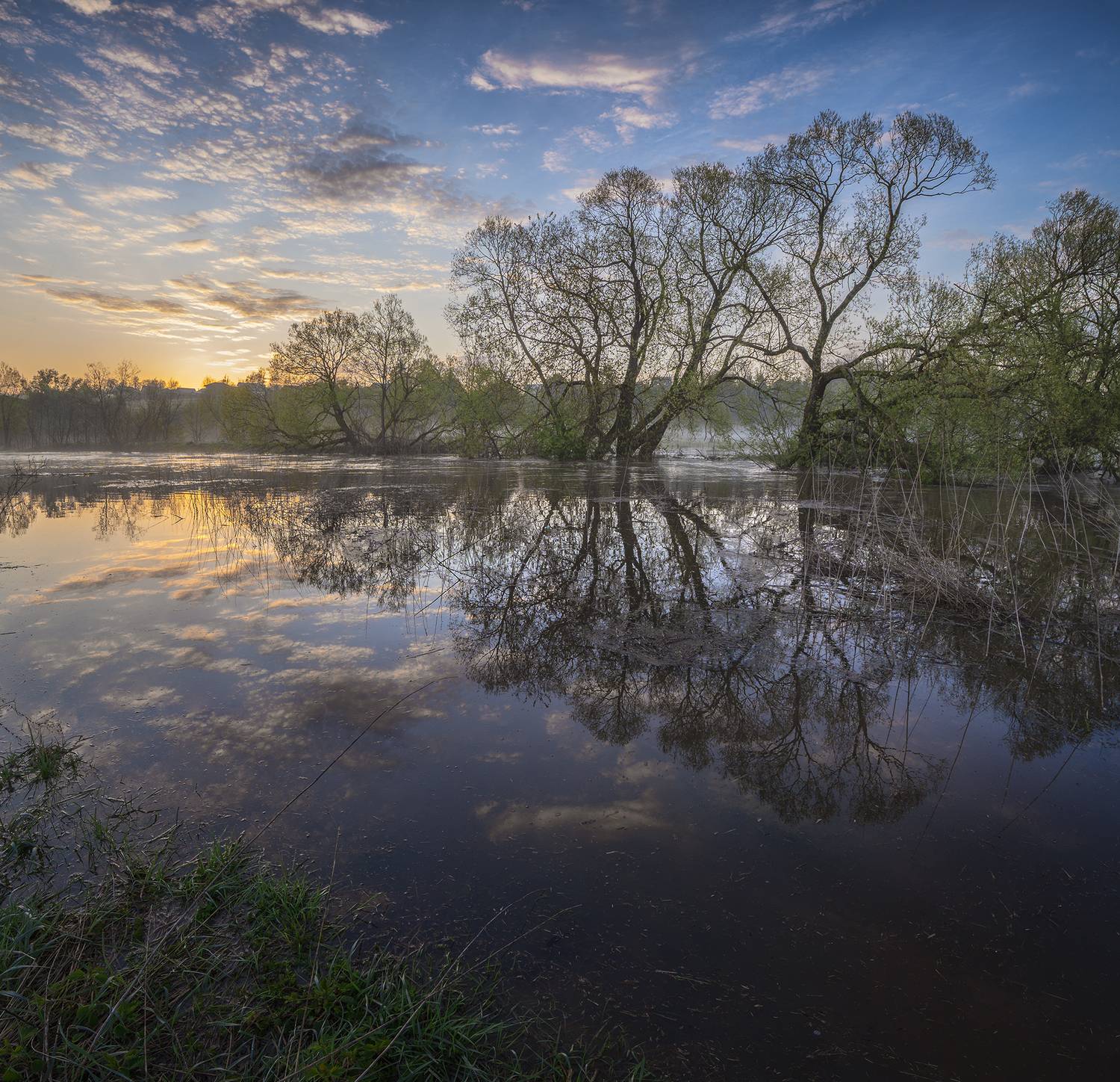 , Андреев Николай