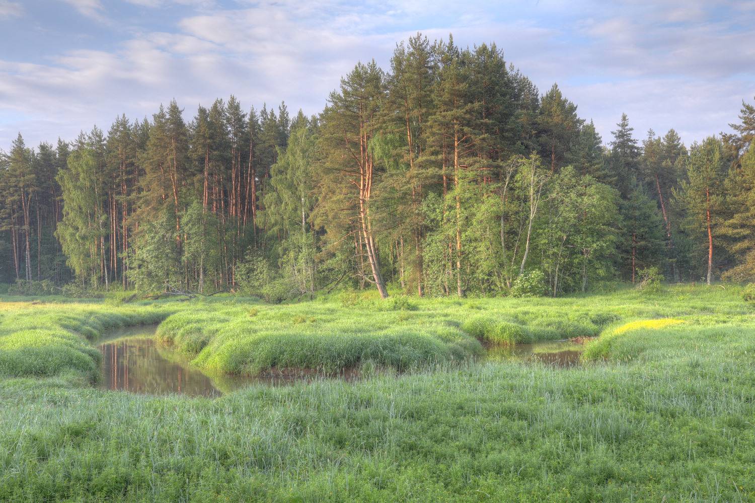 , Добролюбова Тамара