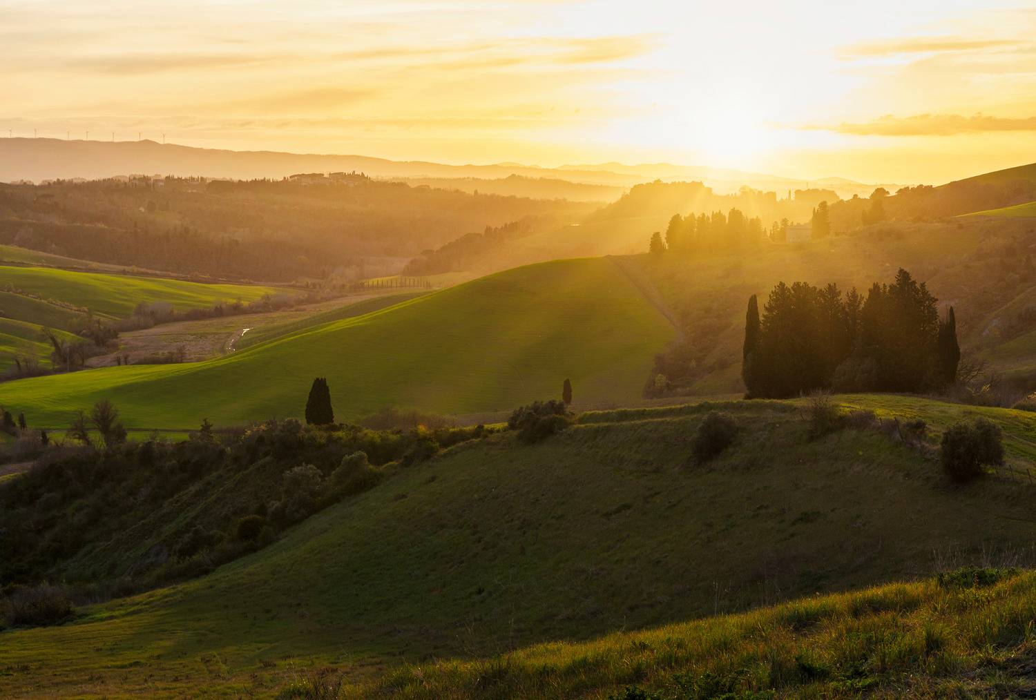 , Алекс Римский