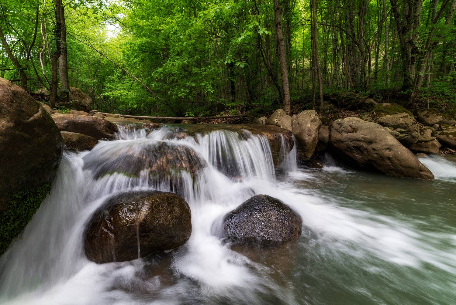 , Сергей Тихомиров