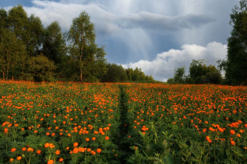 Огоньки фото превью