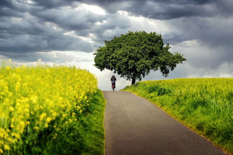 Пейзаж И через несколько минут пошёл дождь   фото превью