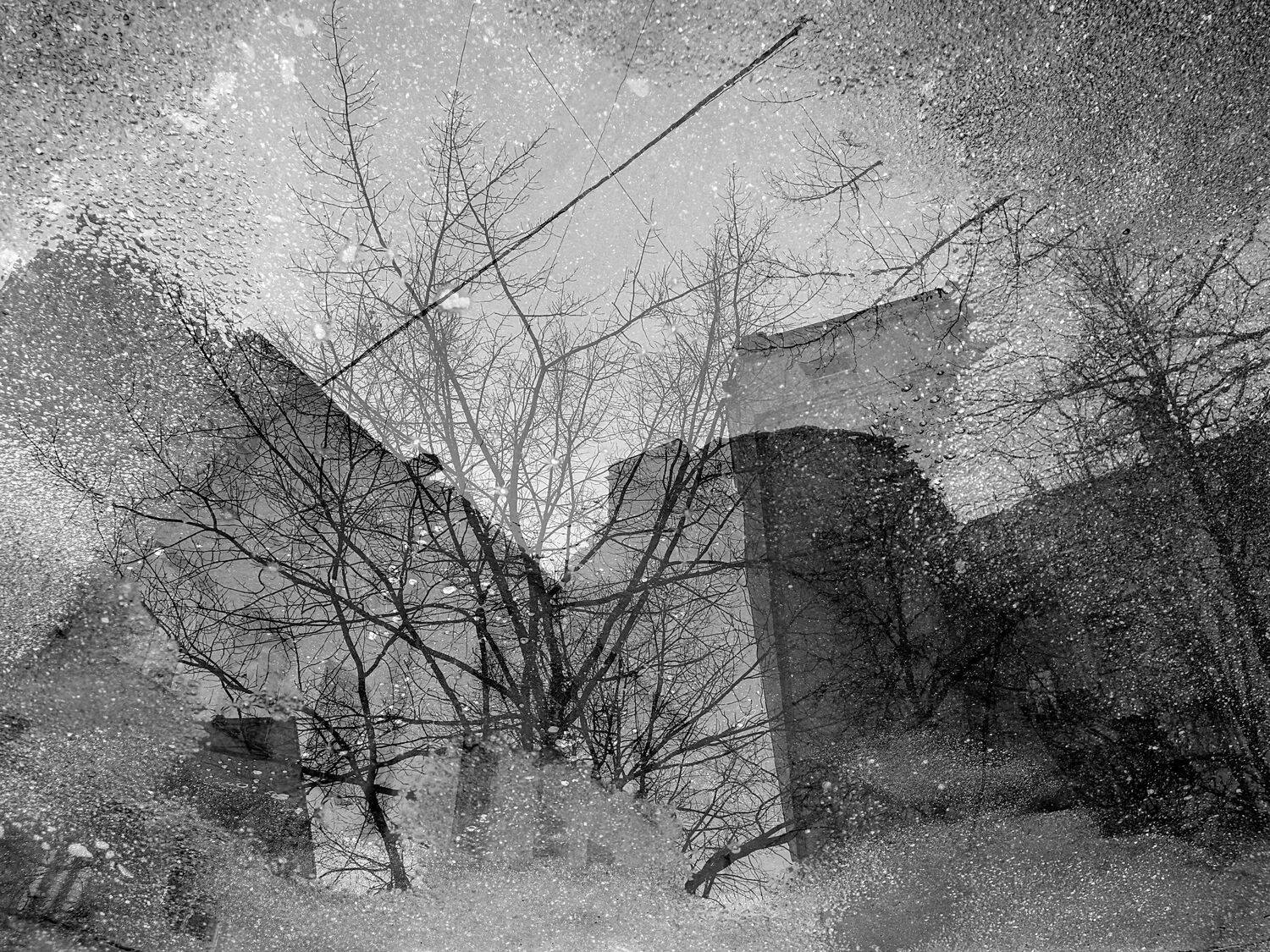 , Антон Лаба