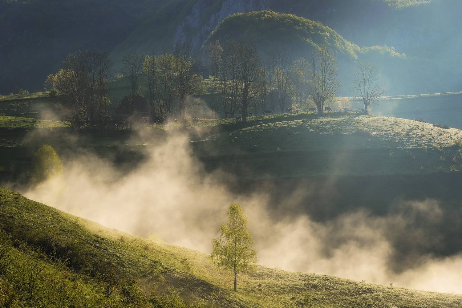 , Stefan Chirobocea