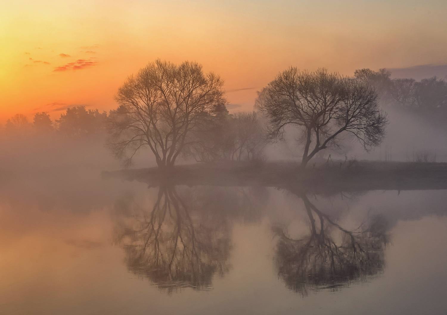 весна, туман, рассвет, беларусь, Александр Гвоздь