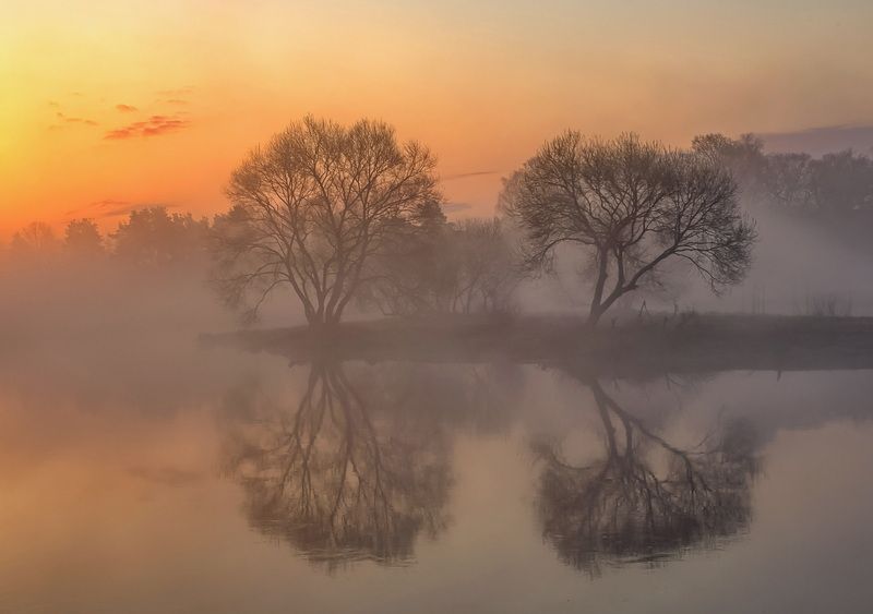 весна, туман, рассвет, беларусь Между нами туман фото превью