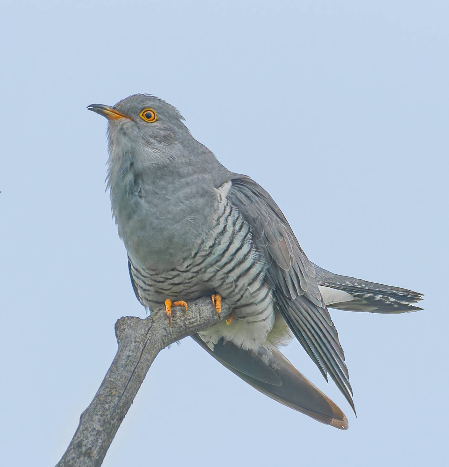 , Фото Александр