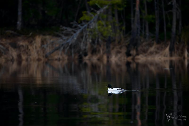 Когда маскировка не удалась фото превью
