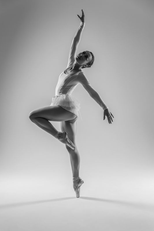 Fly like a bird фото превью