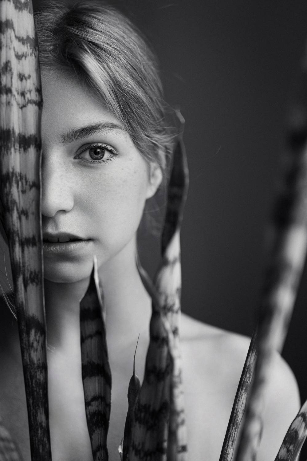 , Беседин Дмитрий