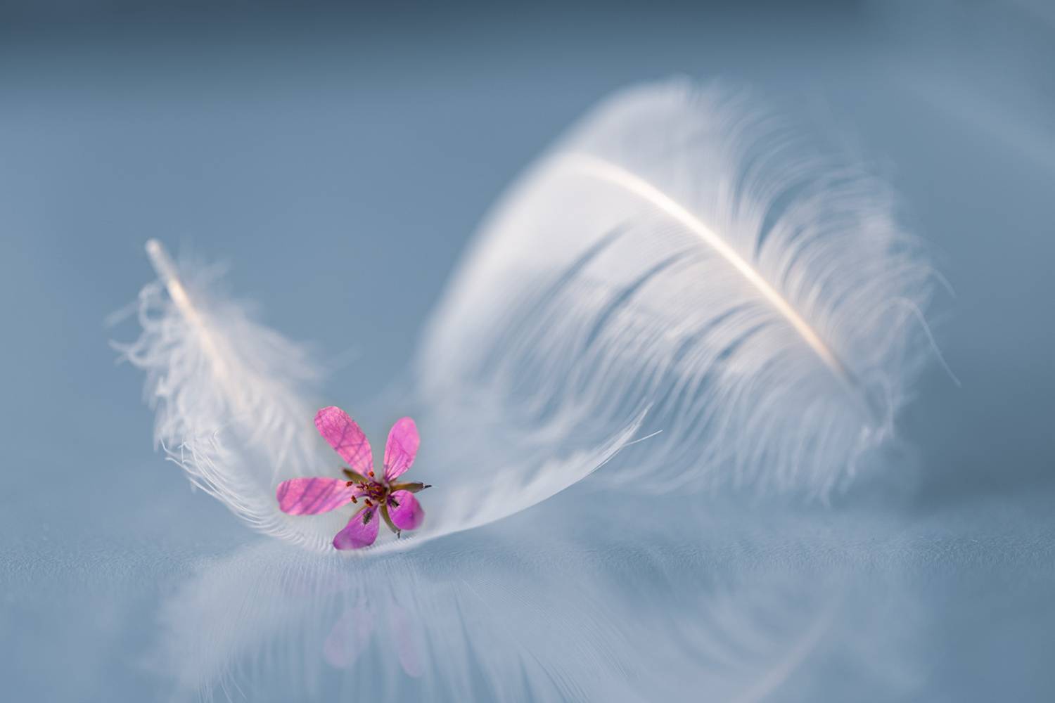 , Копцев Игорь