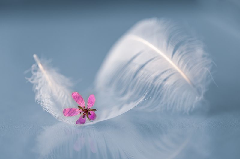 Безропотно.... фото превью