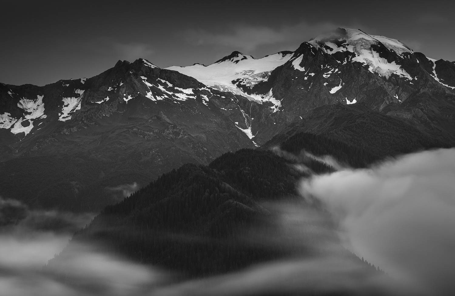 , Татьяна Бирюкова