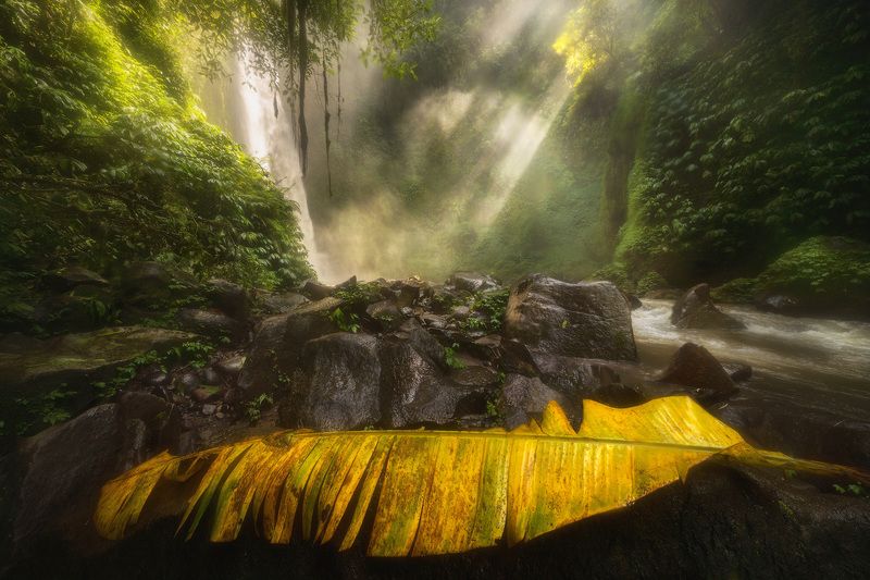 бали, nungnung, водопад, нунгнунг Nungnung фото превью