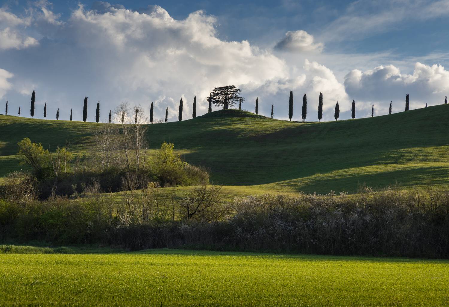 , Алекс Римский