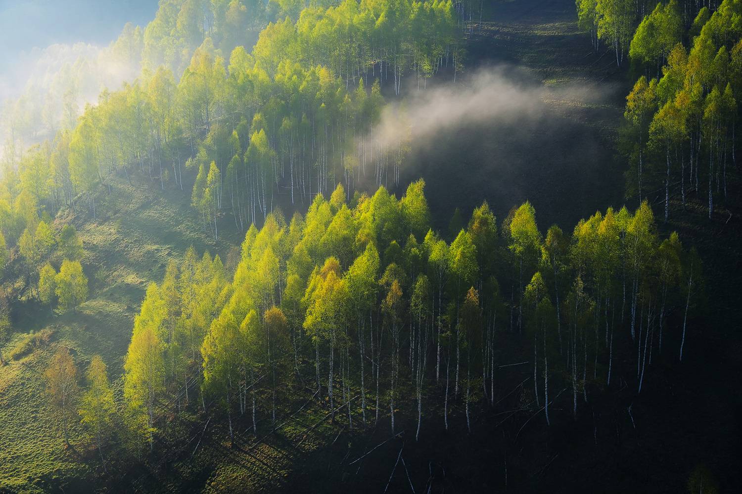 , Stefan Chirobocea