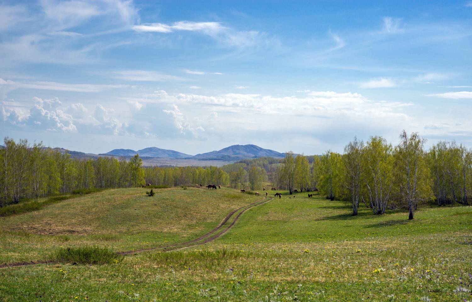 , Шустиков Дмитрий