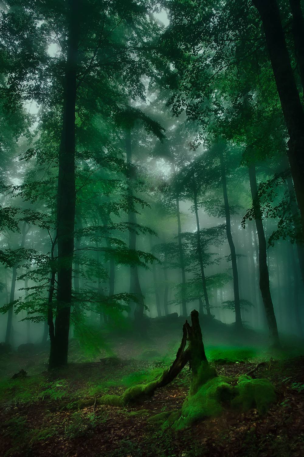 , Antonio Cantabrana