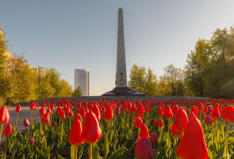 Стела Город-Герой в Туле. фото превью