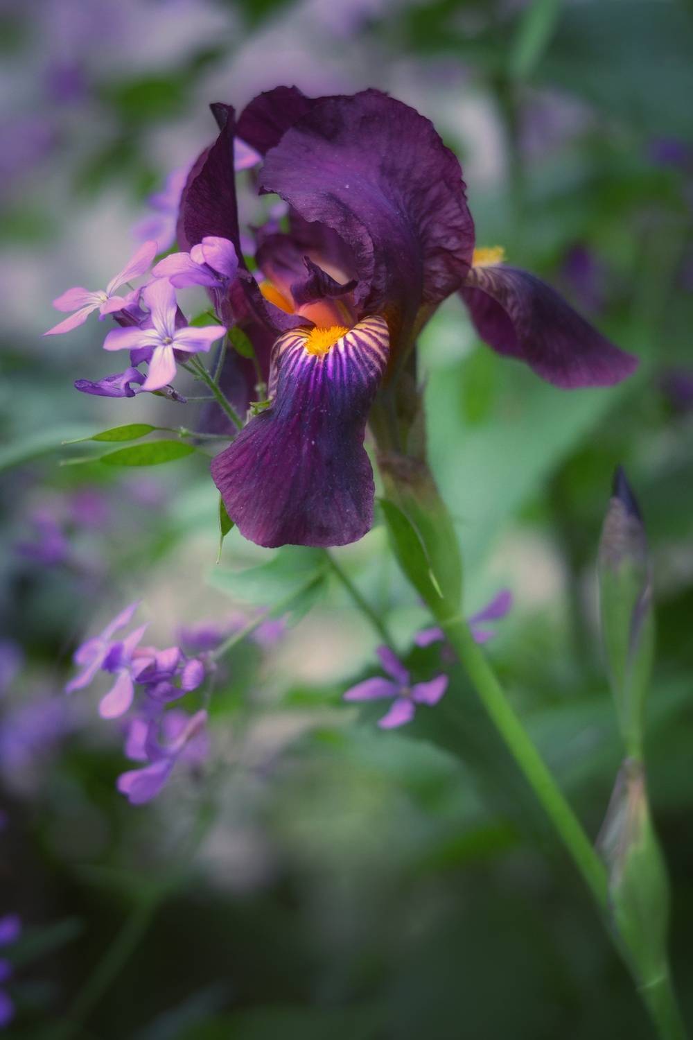 , Юлияна Стоянова