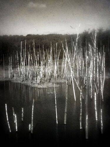 Остатки прошлого.