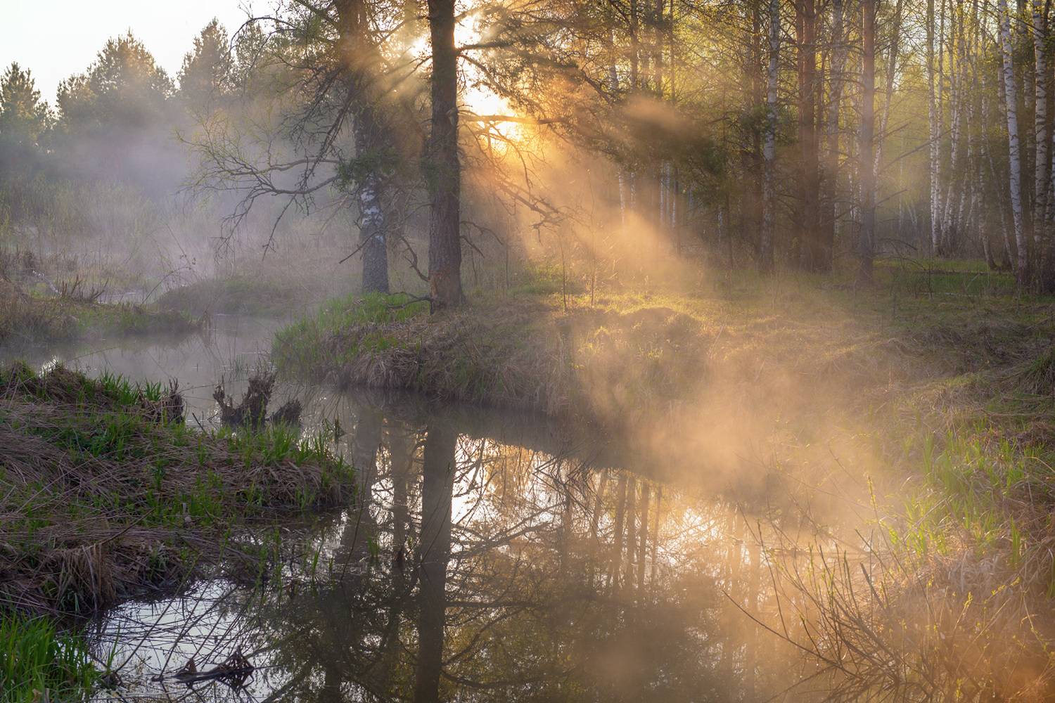 утро туман речка тюряха апрель, Алексеев Дмитрий