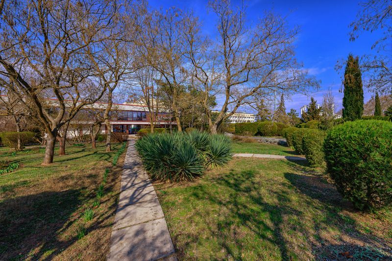 март фото превью