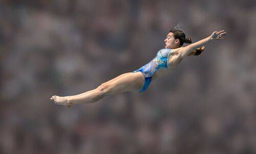 Olympic Form Layout Phase