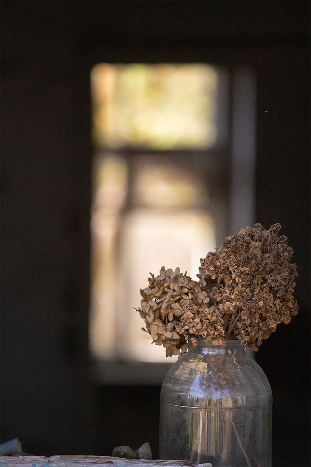 , Чудинин Дмитрий