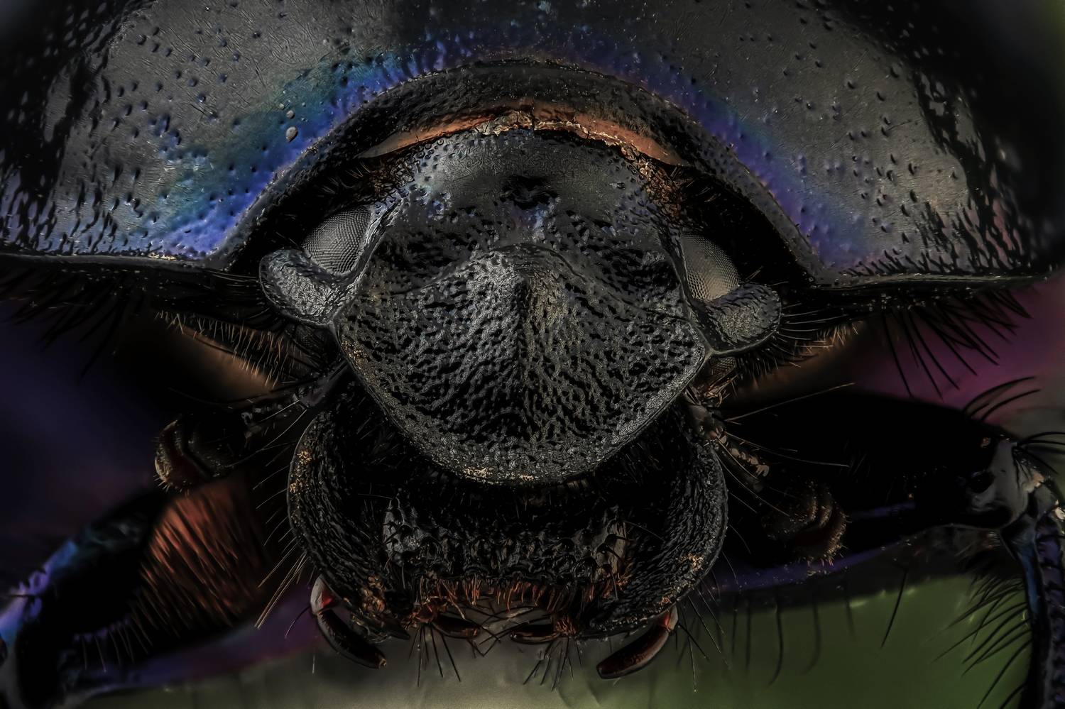 , Олег Савицкий