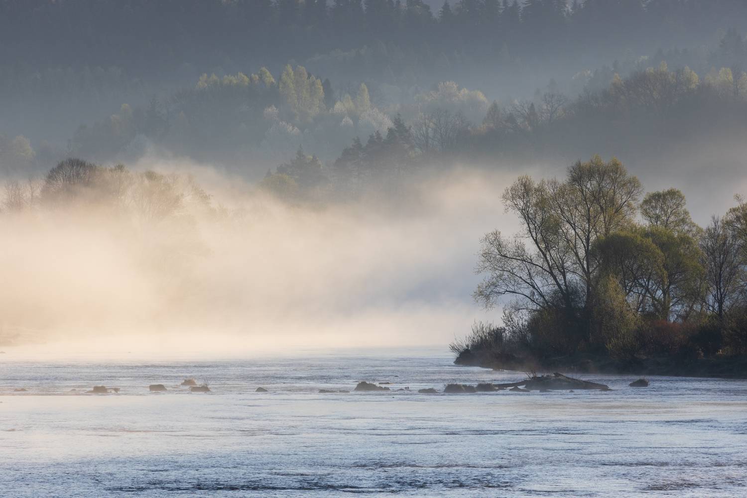 ,  Mirosław Pruchnicki