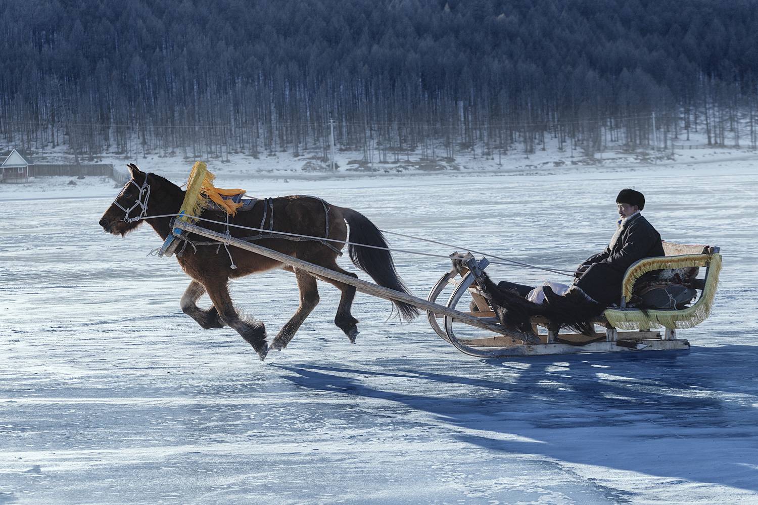 mongolian noamdic winter ice festival khuvsgul lake horse man portrait, ganzorig miimaa
