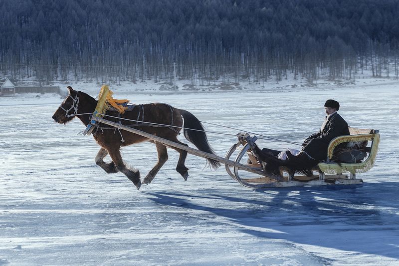 mongolian noamdic winter ice festival khuvsgul lake horse man portrait Mongolian winter ice festival фото превью
