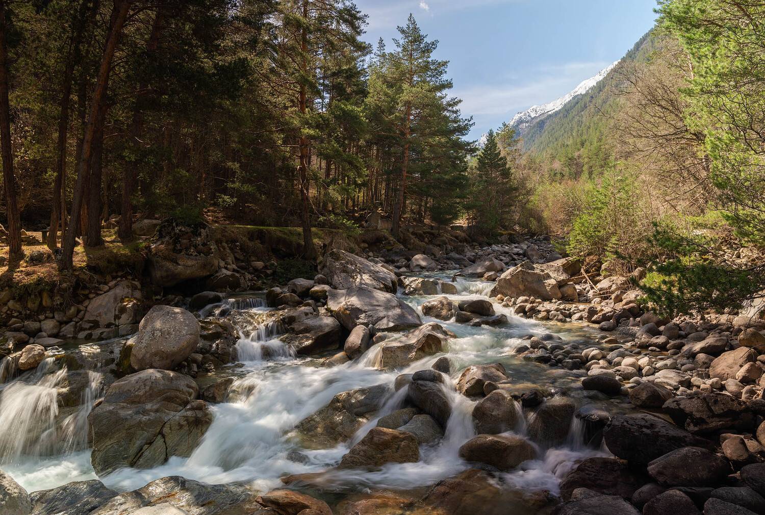 , Шевченко Юрий