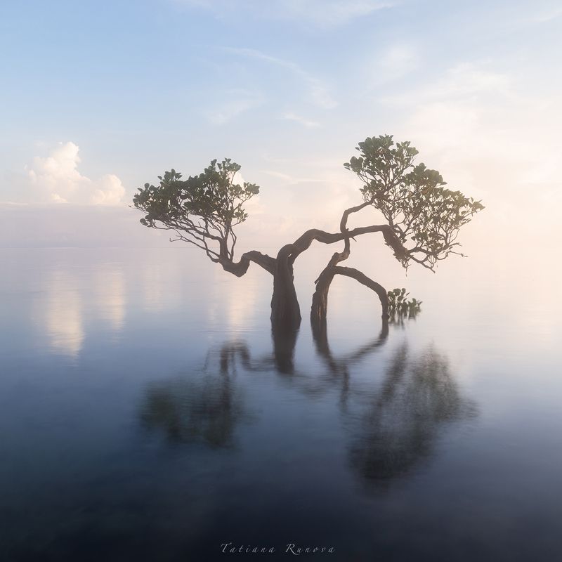 Танец на рассвете фото превью