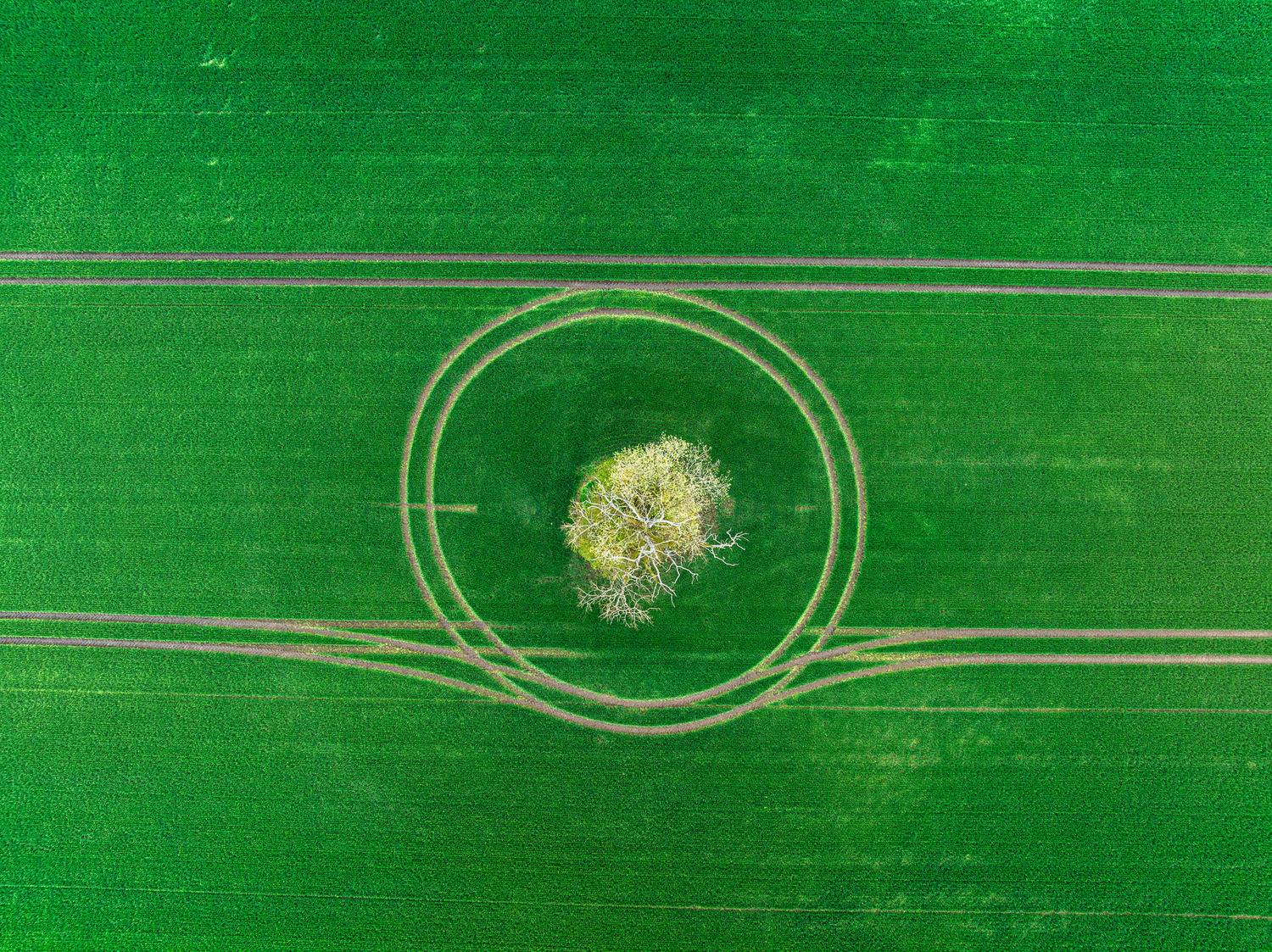 , Гордон Николай