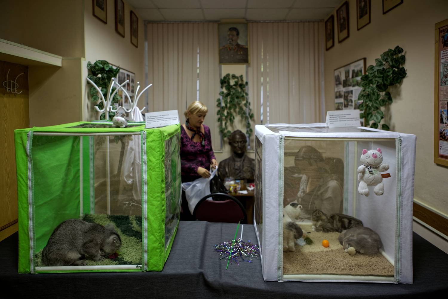 стрит, улица репортаж, фотопрогулка, Какоткин Роман